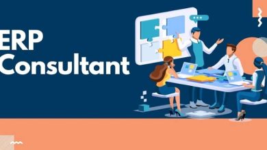 ERP Consultant