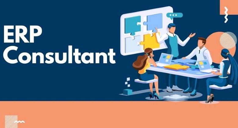 ERP Consultant