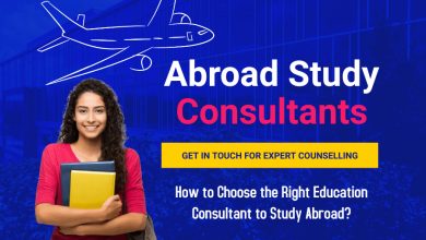 Study Abroad Agents in India