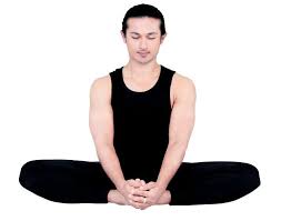 Bhadrasana or Gracious Pose