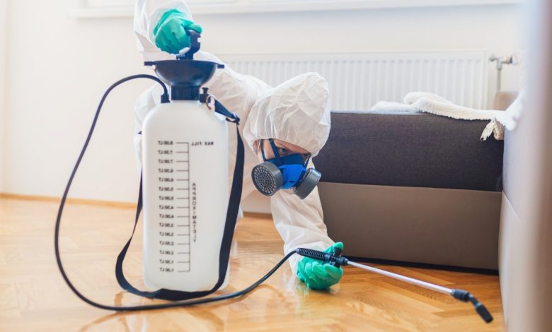 termites treatment specialist near me