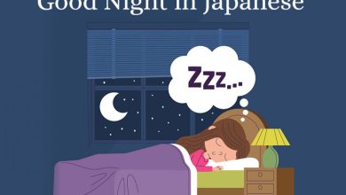 good night in Japanese