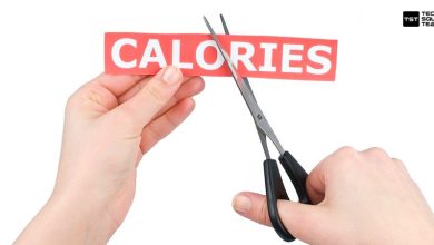 What are the Best Ways to Cut Calories every day?