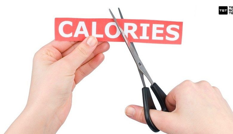 What are the Best Ways to Cut Calories every day?