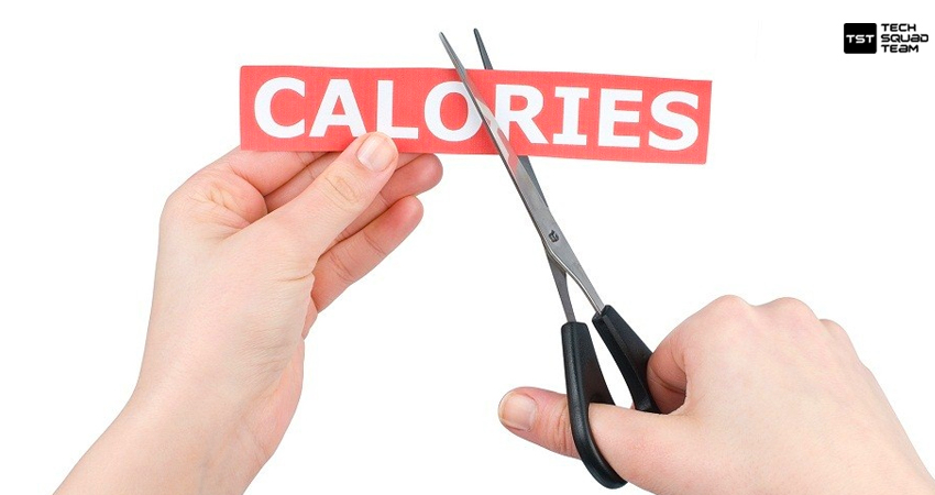 What are the Best Ways to Cut Calories every day?