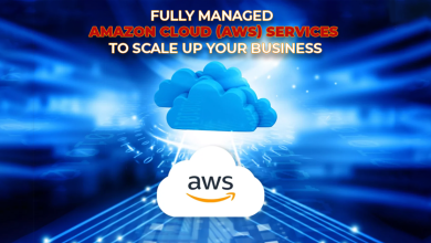 Managed Amazon Cloud Services