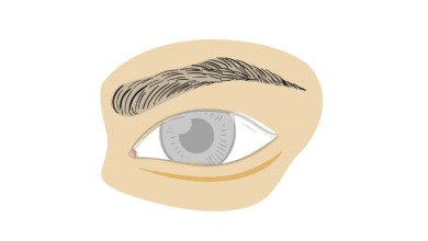 eyebrow