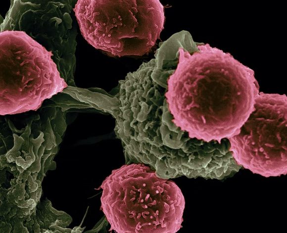 prevent cancer