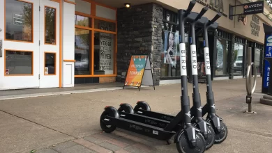 electric scooter for adults canada