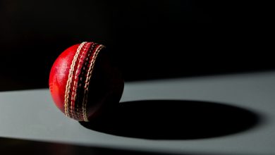 cricket ball