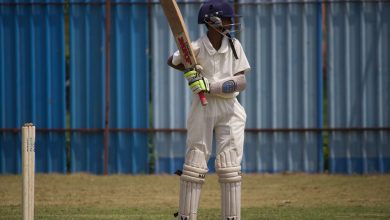 cricket batting pads