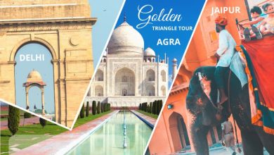 Golden Triangle Tour