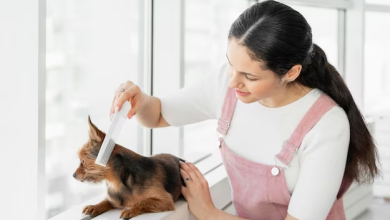 dog grooming in Mumbai