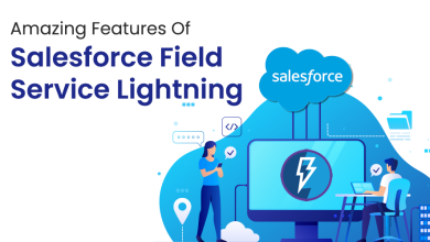 Salesforce Field Lightning Service