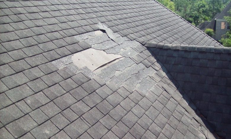 Roof